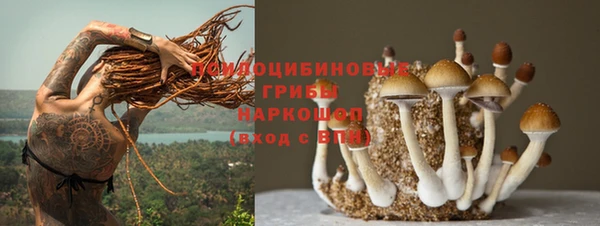 соль курить ск Козловка