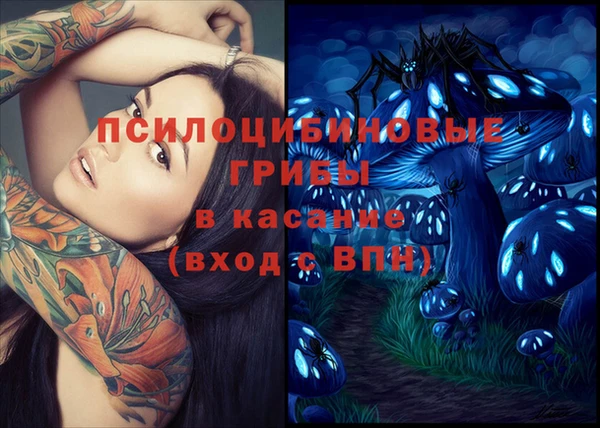 spice Кодинск