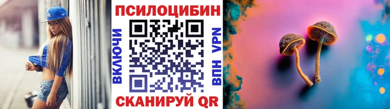Псилоцибиновые грибы Psilocybe  Купить где  Острогожск 